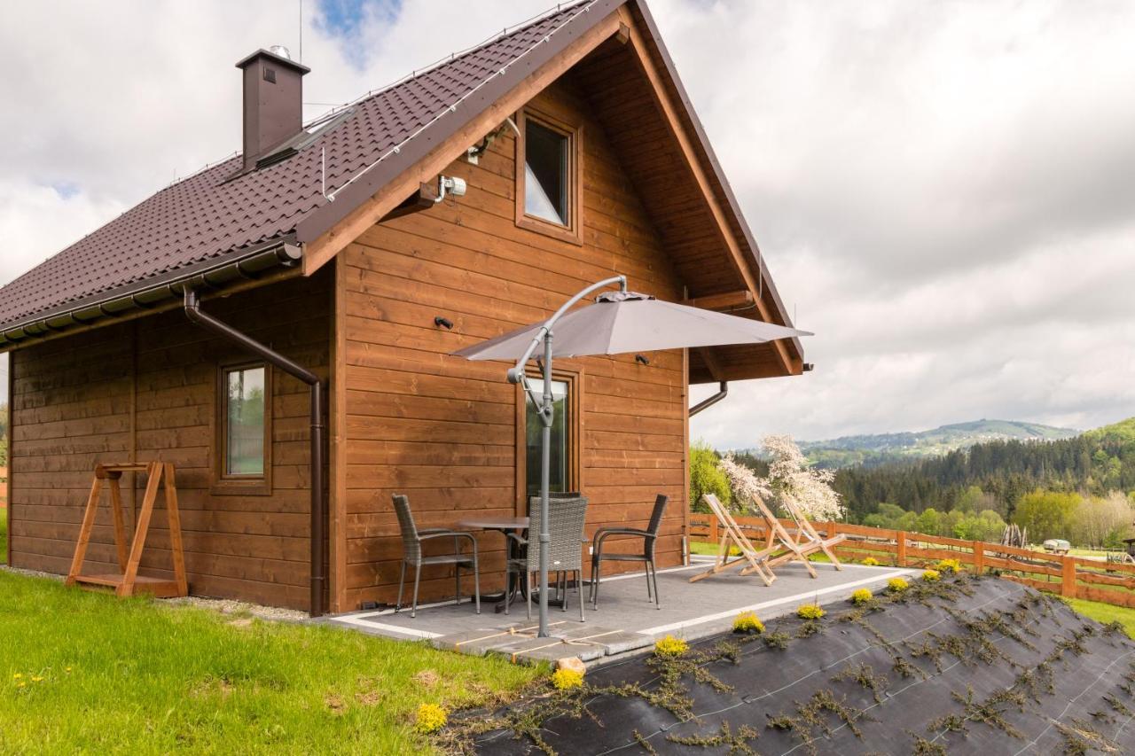 Villa U Jana I Wita Istebna Exterior foto