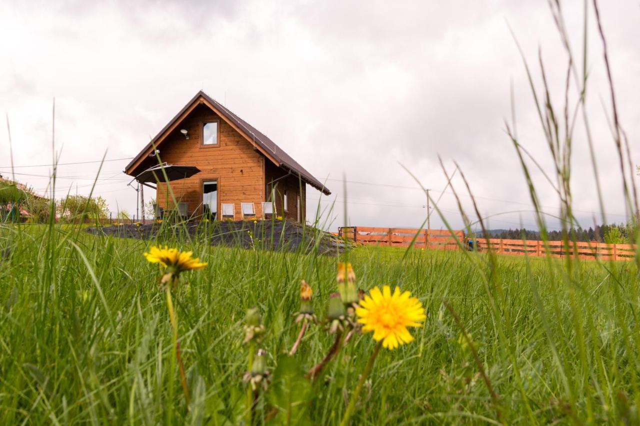 Villa U Jana I Wita Istebna Exterior foto